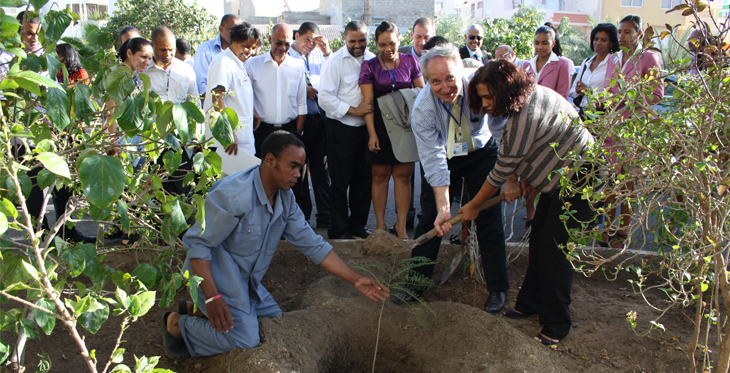 A tree planting day in Mindelo, Sao Vicente Island.